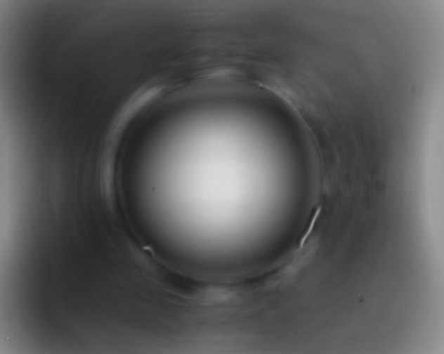 X0000092310341200709211253