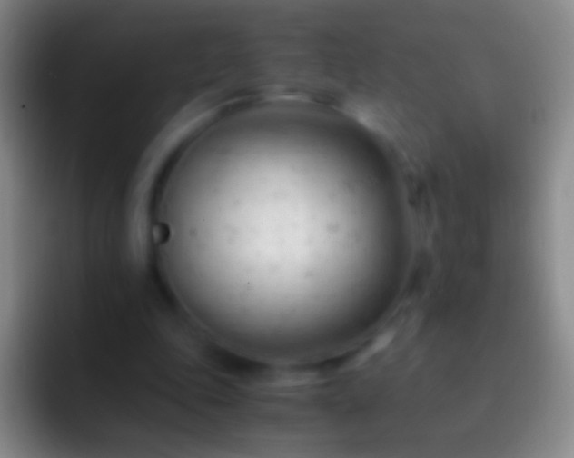 X0000092310343200709211253