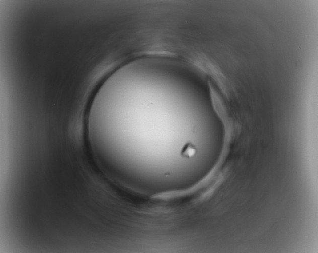 X0000092310344200709211253
