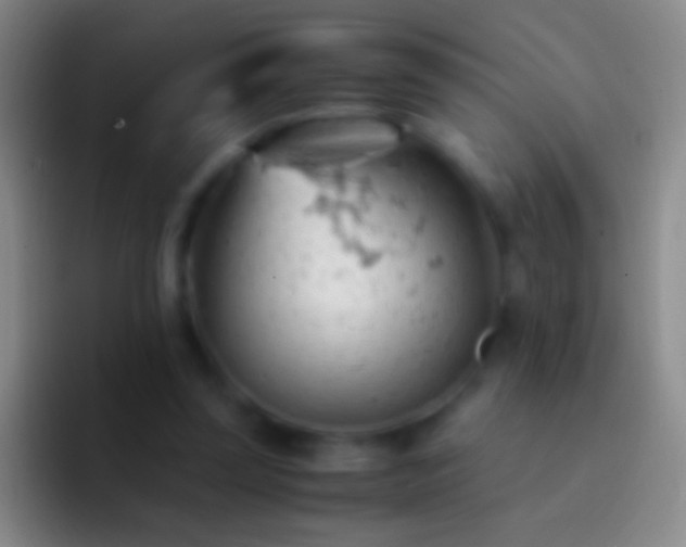 X0000092310347200709211253