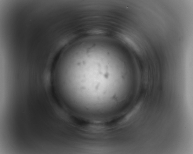 X0000092310351200709211253