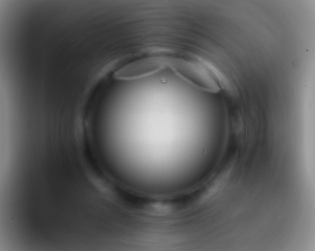 X0000092310352200709211253