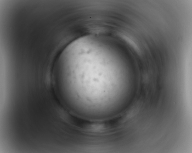 X0000092310353200709211253