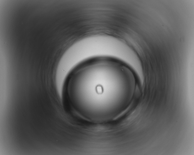 X0000092310356200709211253