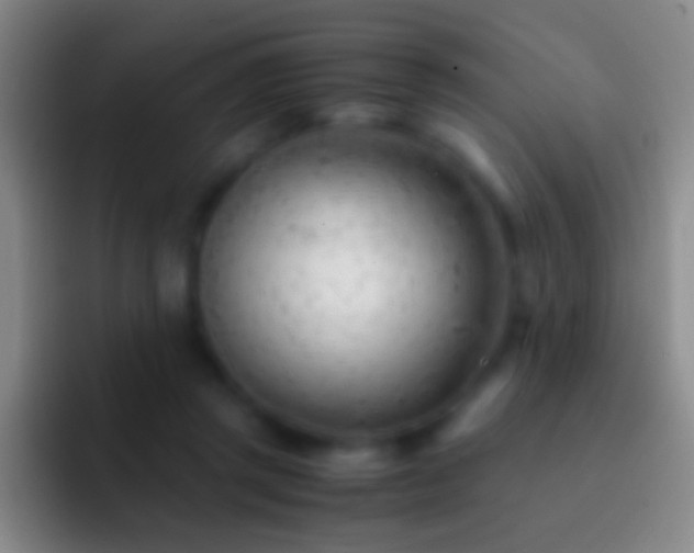 X0000092310357200709211253