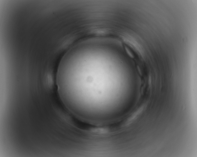 X0000092310358200709211253