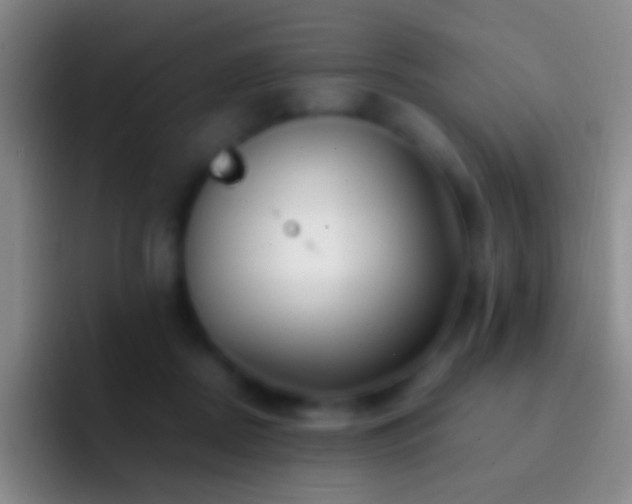 X0000092310362200709211253