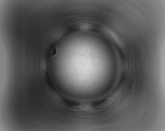 X0000092310363200709211253