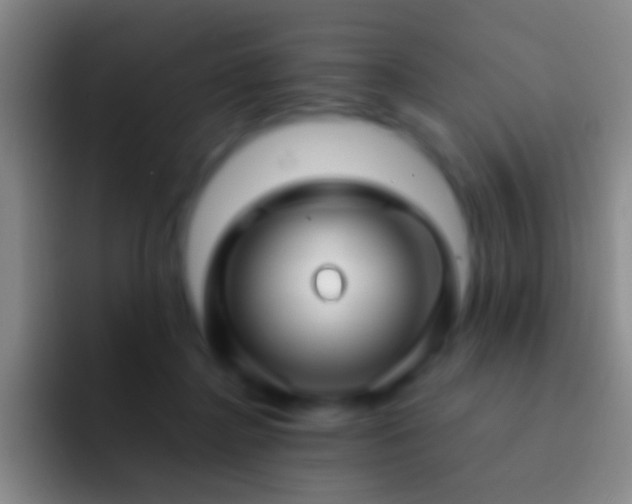 X0000092310364200709211253