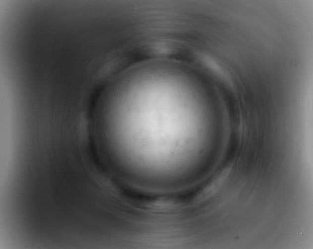 X0000092310366200709211253