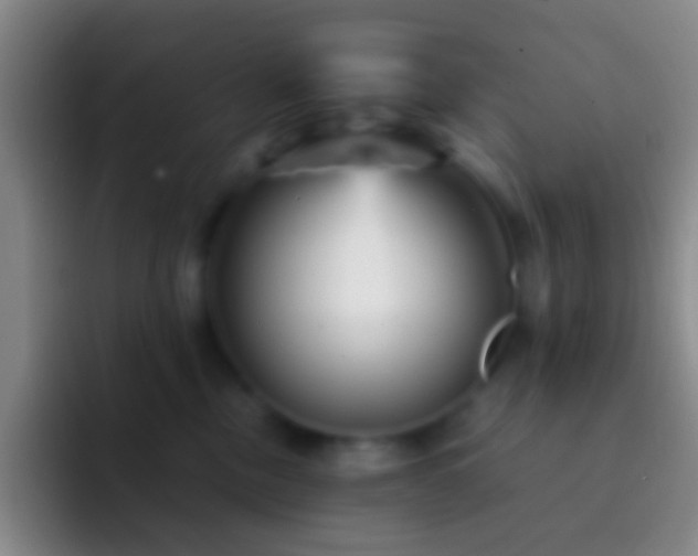 X0000092310378200709211253