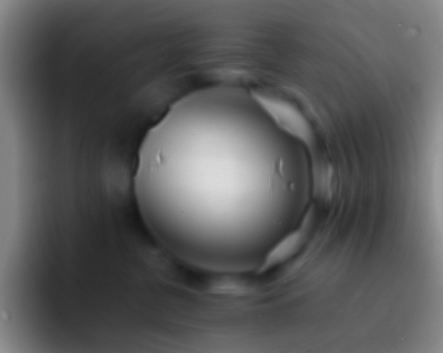 X0000092310380200709211253