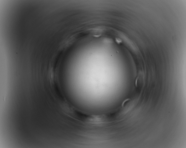 X0000092310381200709211253