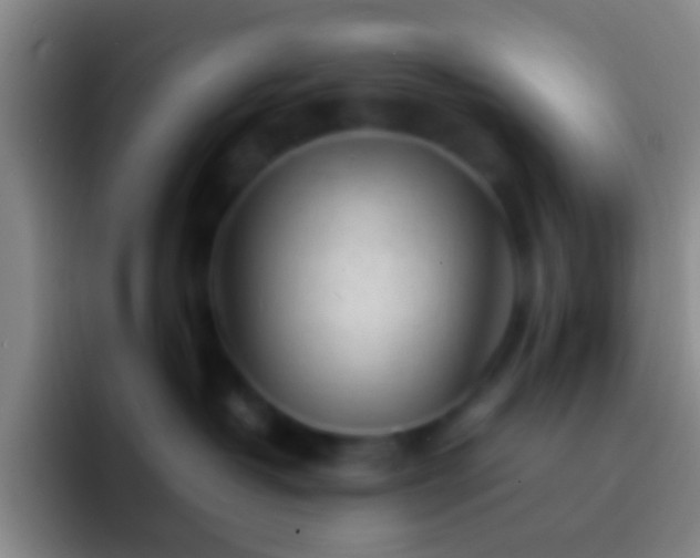 X0000092310382200709211253