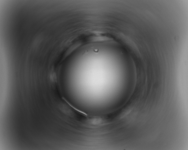 X0000092310384200709211253