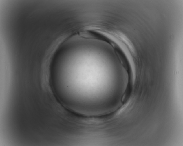 X0000092310385200709211253