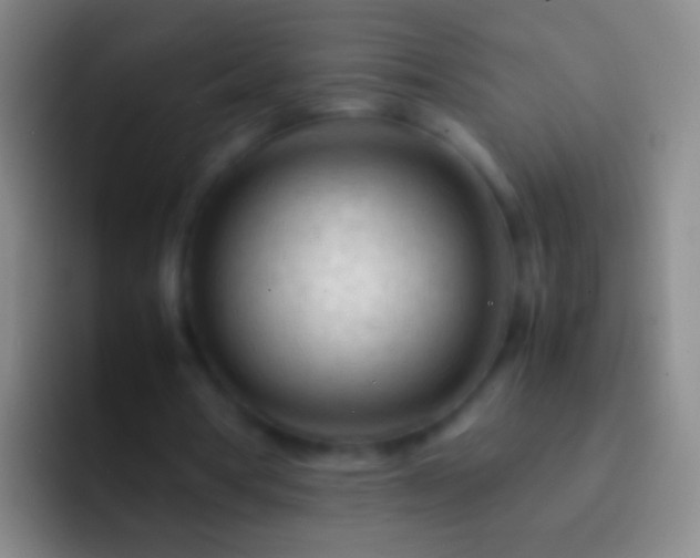 X0000092310386200709211253