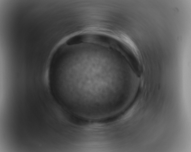 X0000092310387200709211253