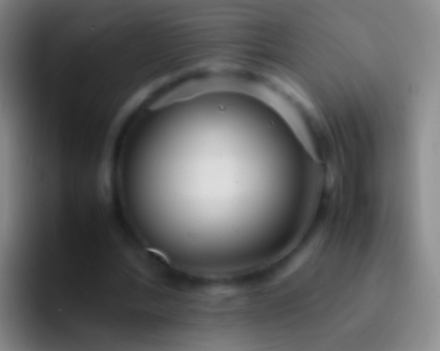 X0000092310388200709211253