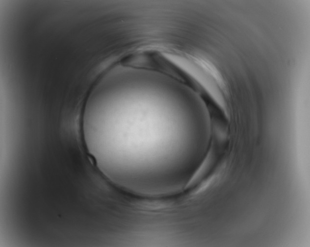 X0000092310389200709211253
