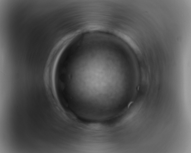 X0000092310391200709211253