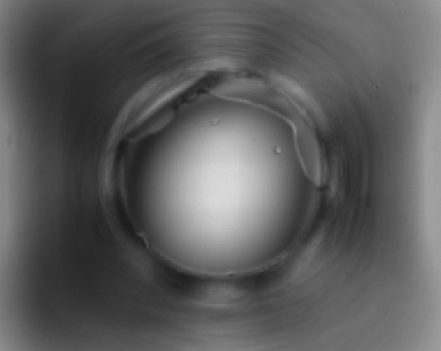 X0000092310392200709211253