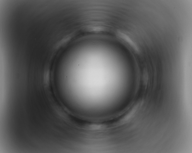 X0000092310394200709211253