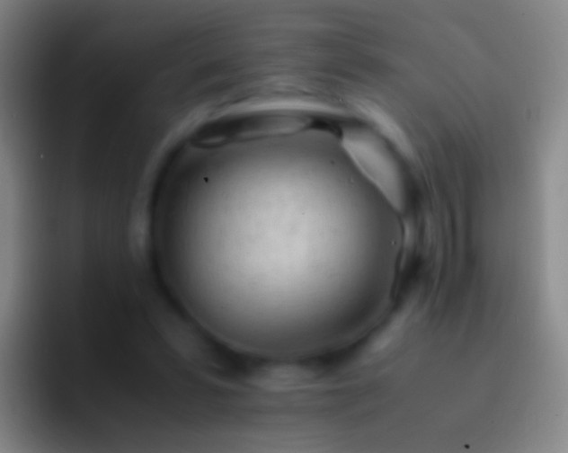 X0000092310399200709211253