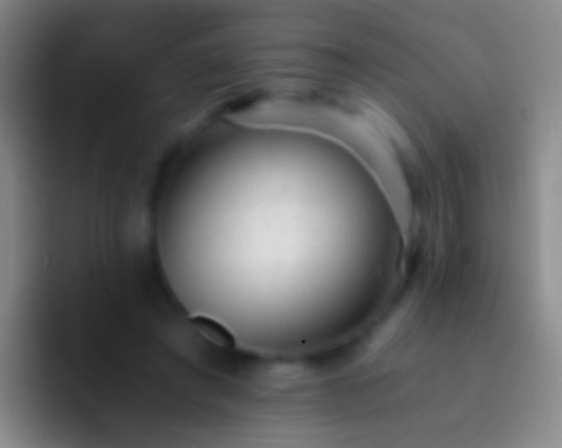 X0000092310401200709211253