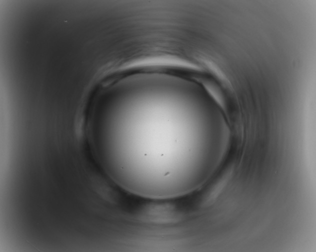 X0000092310403200709211253