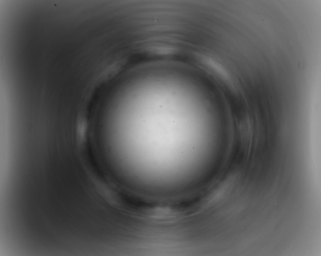 X0000092310406200709211253