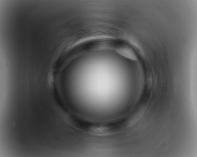X0000092310407200709211253