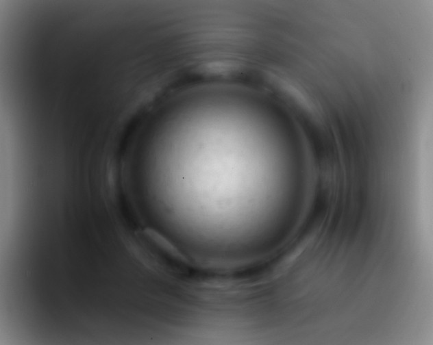 X0000092310408200709211253