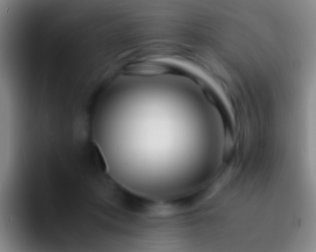 X0000092310413200709211253
