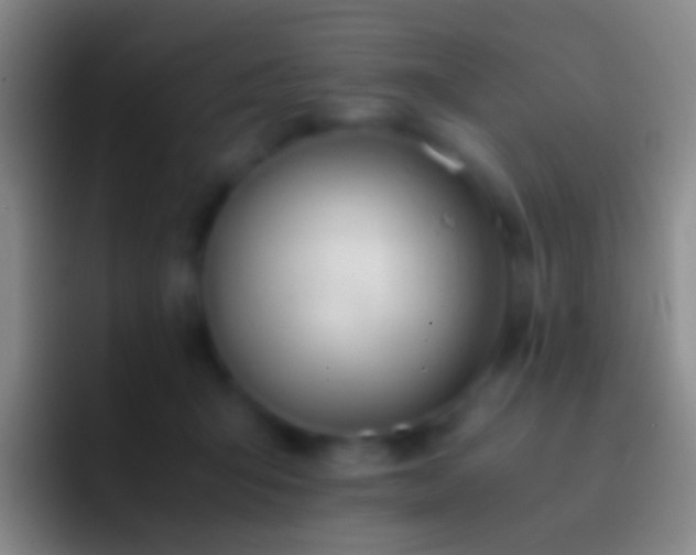 X0000092310415200709211253
