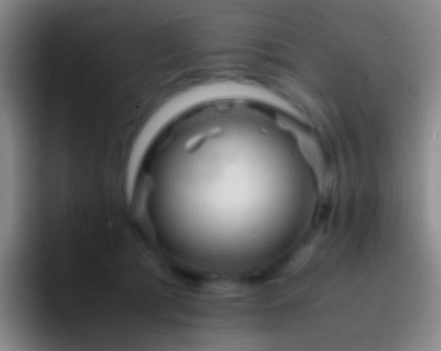X0000092310417200709211253