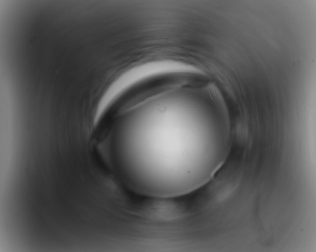 X0000092310424200709211252