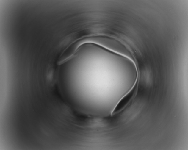 X0000092310428200709211252