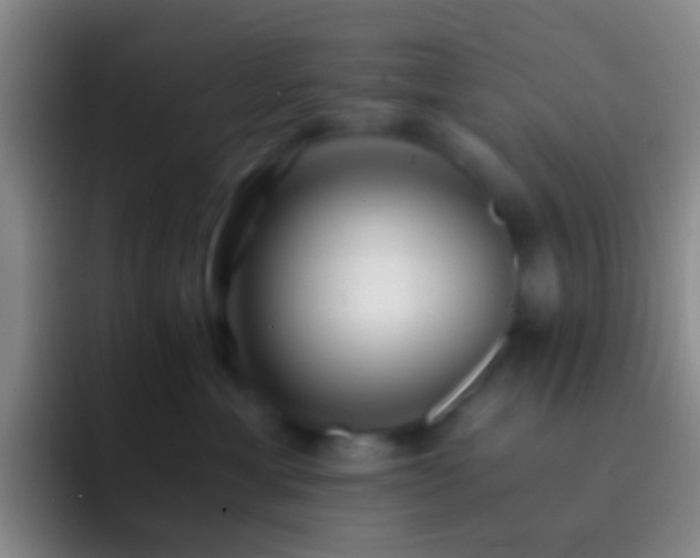 X0000092310429200709211252
