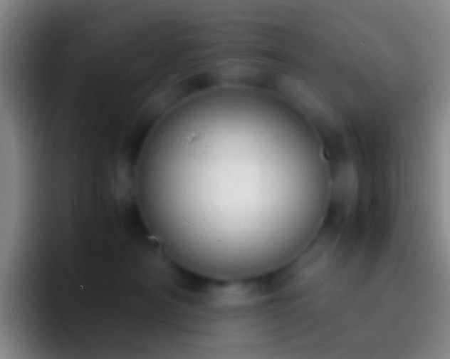 X0000092310430200709211252