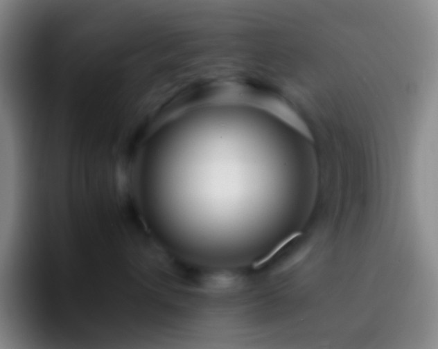 X0000092310432200709211252