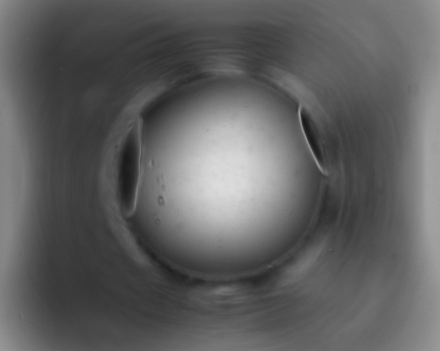 X0000092310433200709211252