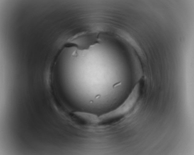 X0000092310434200709211252