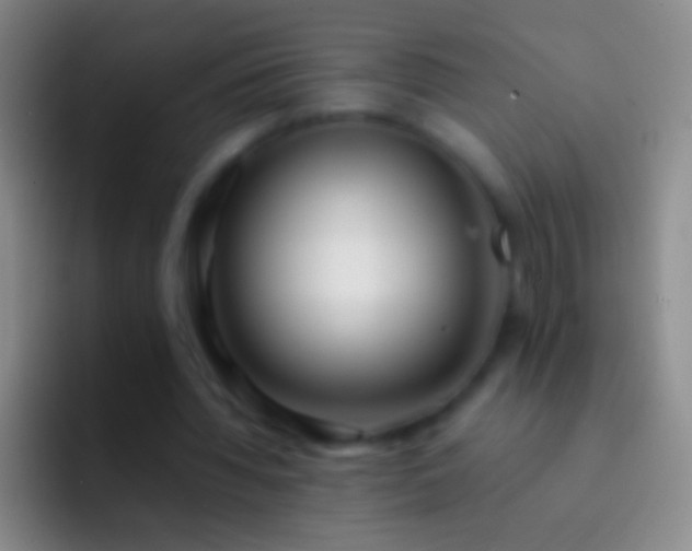 X0000092310436200709211252