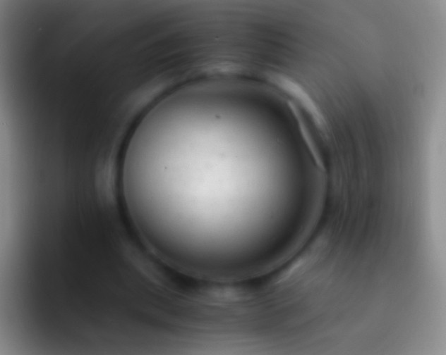 X0000092310439200709211252