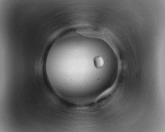 X0000092310440200709211252