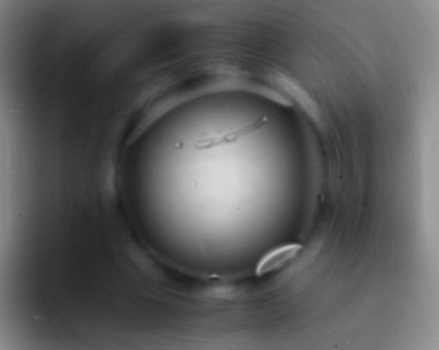 X0000092310441200709211252