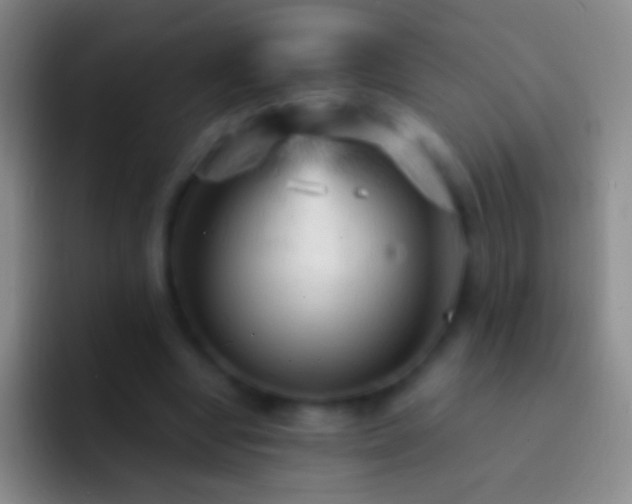 X0000092310442200709211252