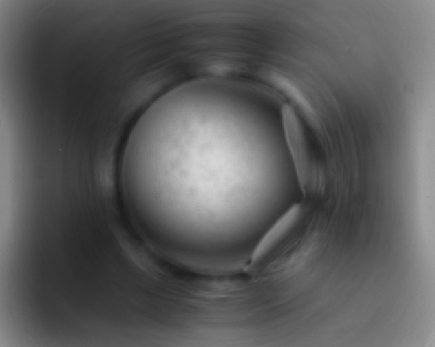 X0000092310443200709211252
