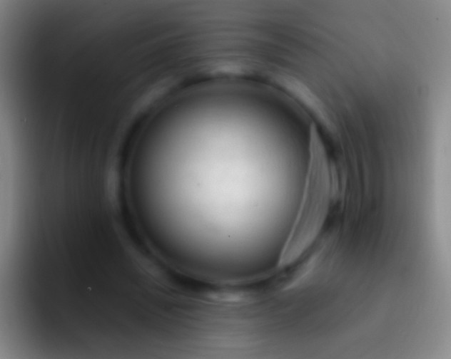 X0000092310444200709211252